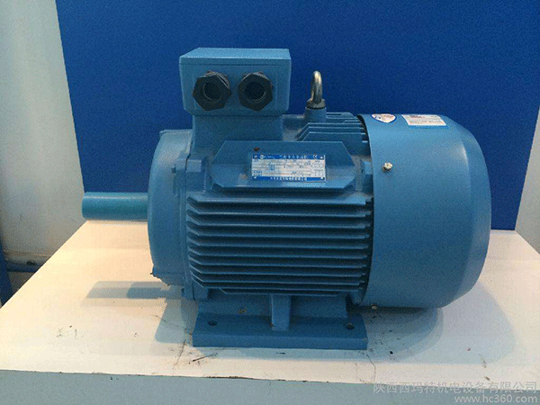 高效節能電機是西安泰富西瑪未來商業發展的方向。 高效節能電機是西安泰富西瑪未來商業發展的方向。